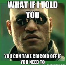 cricoid